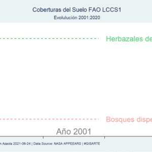 Evolución de las coberturas del suelo 2001-2020