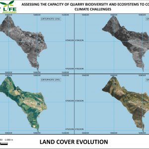 Land cover evolution